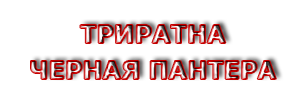 Триратна Школа боевых искусств Черная пантера