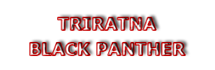 Triratna Martial Arts School Black Panther