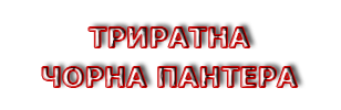 Триратна Школа бойових мистецтв Чорна пантера